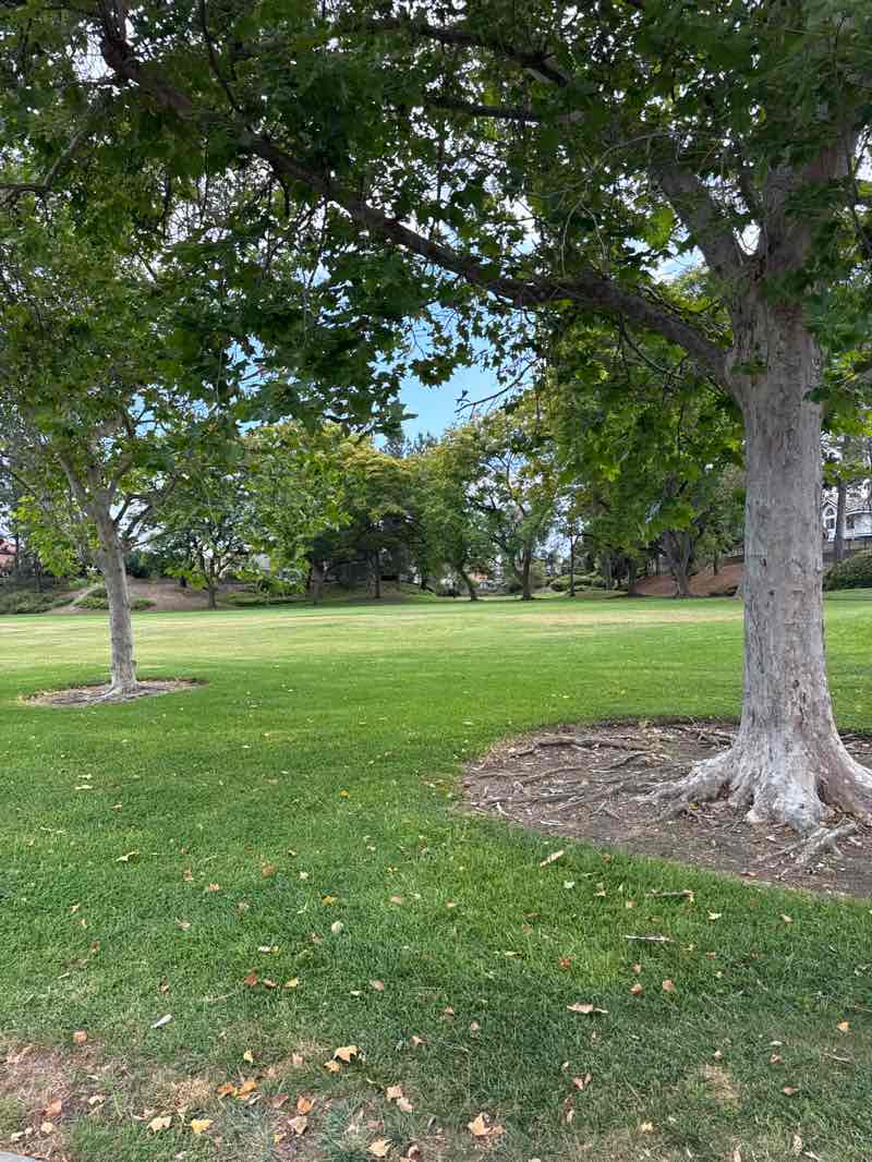 walking near me in Walnut Ridge Park in summer