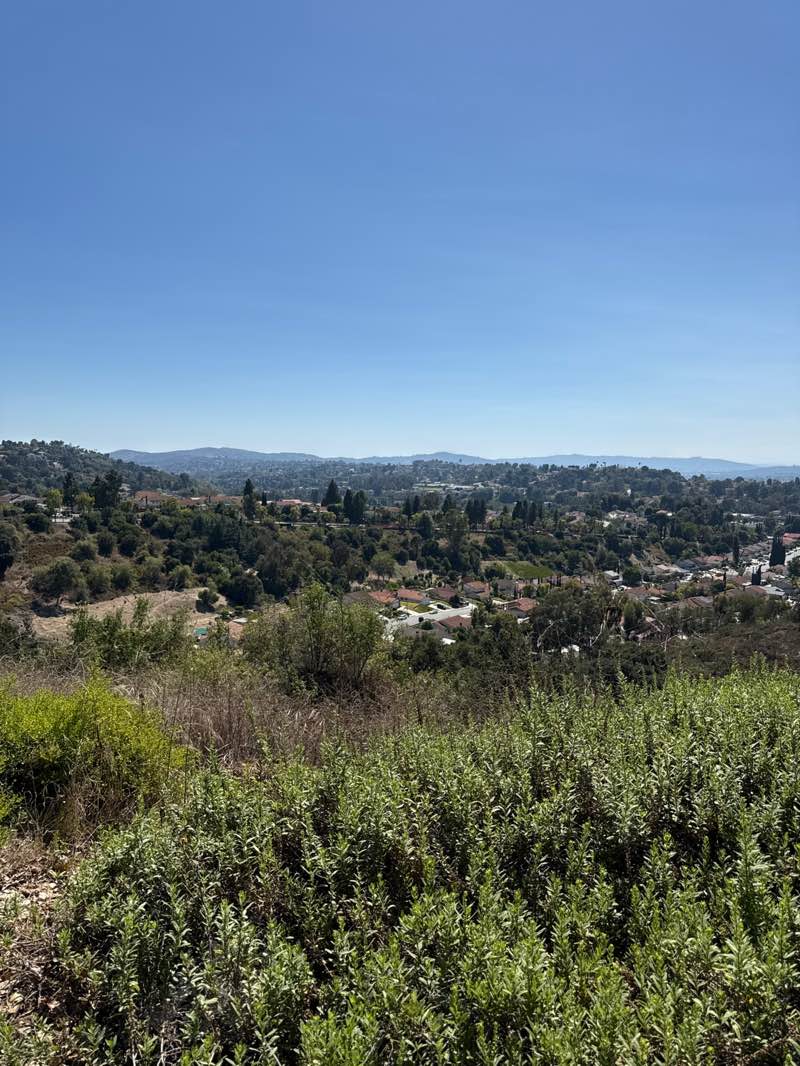 walking near me in Summitridge Park in summer