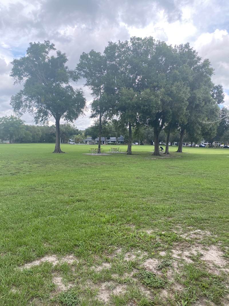 walking near me in Northdale Park in summer