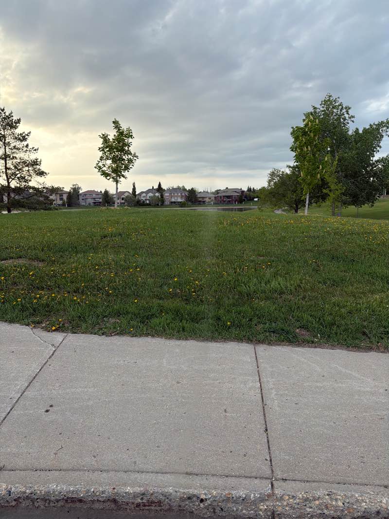 walking near me in Briarwood Park in summer
