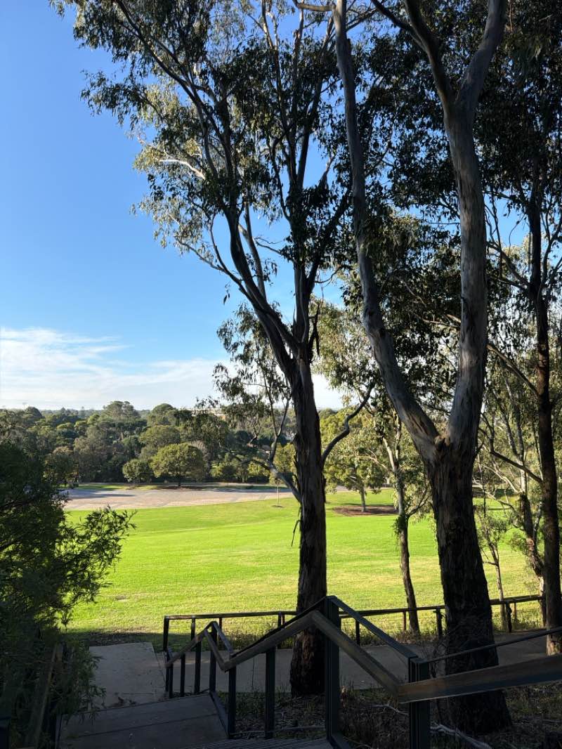 walking near me in Parramatta Park in winter