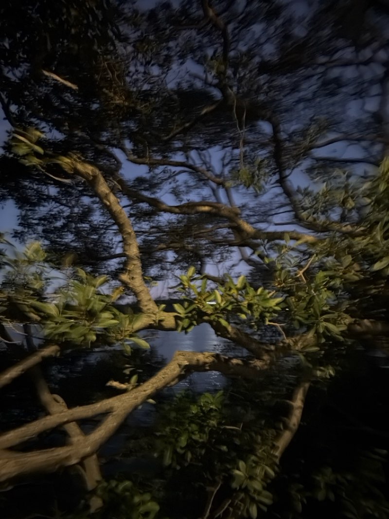walking near me in Timbrell Park in winter
