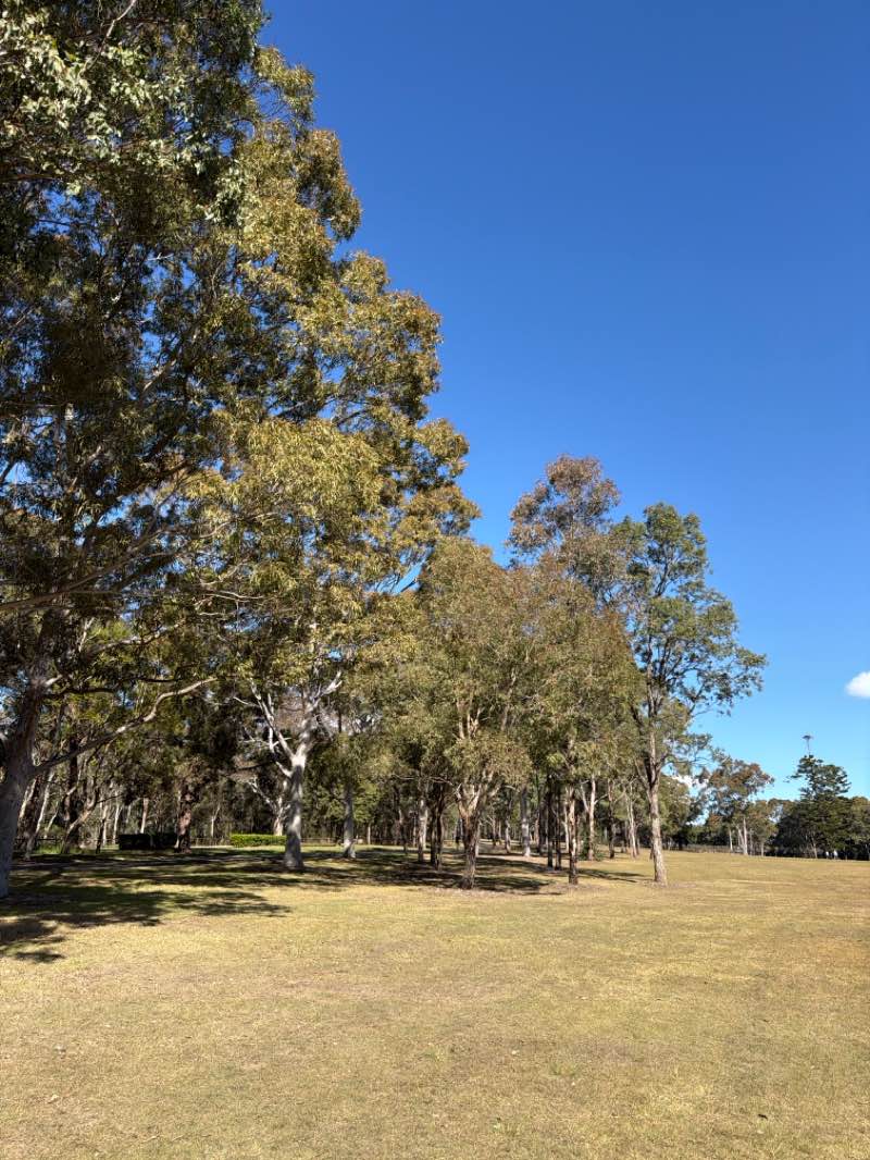 walking near me in Parramatta Park in winter