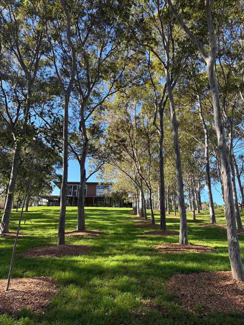walking near me in Bicentennial Park in winter
