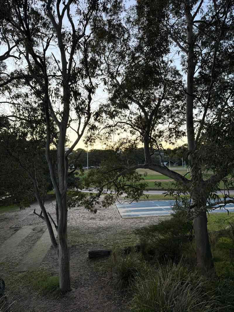 walking near me in Timbrell Park in winter
