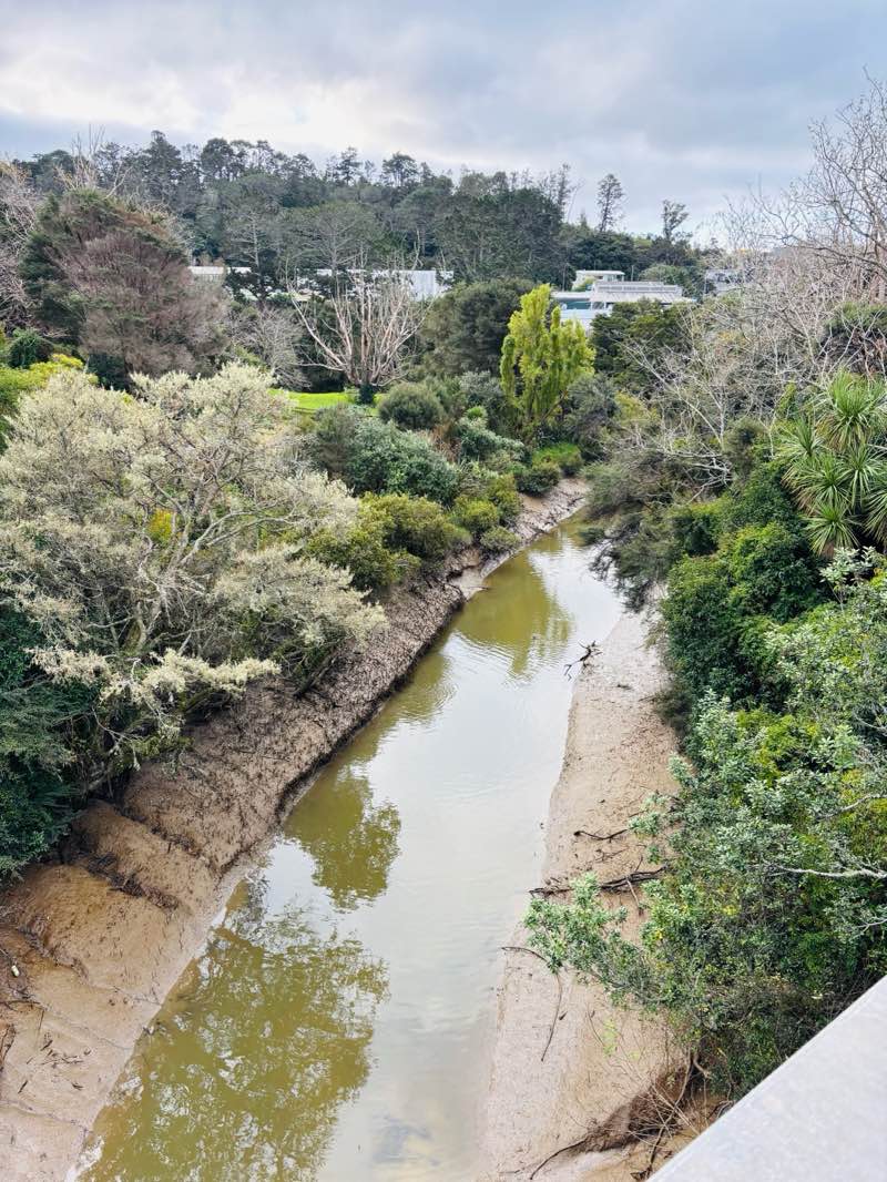 walking near me in Tavern Road Esplanade Reserve in winter