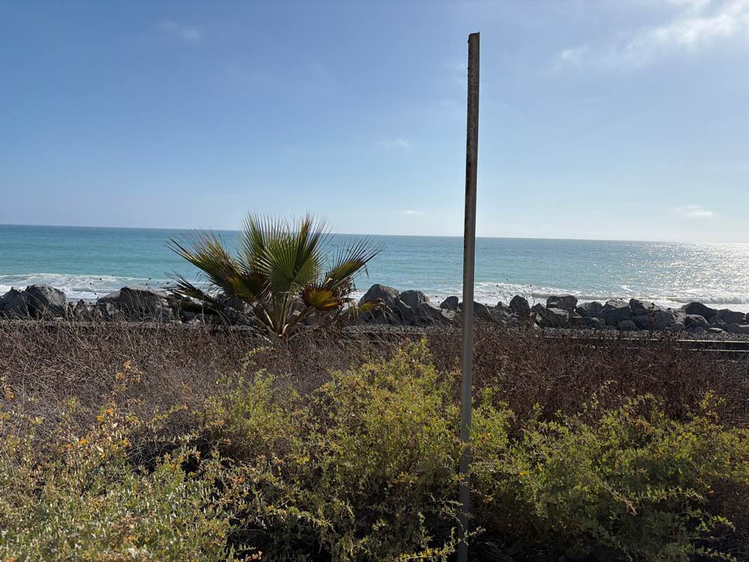 walking near me in Parque Del Mar in summer