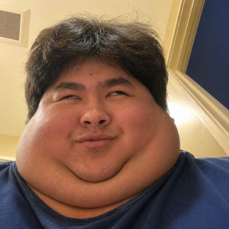 Walk Moggers Ario post image