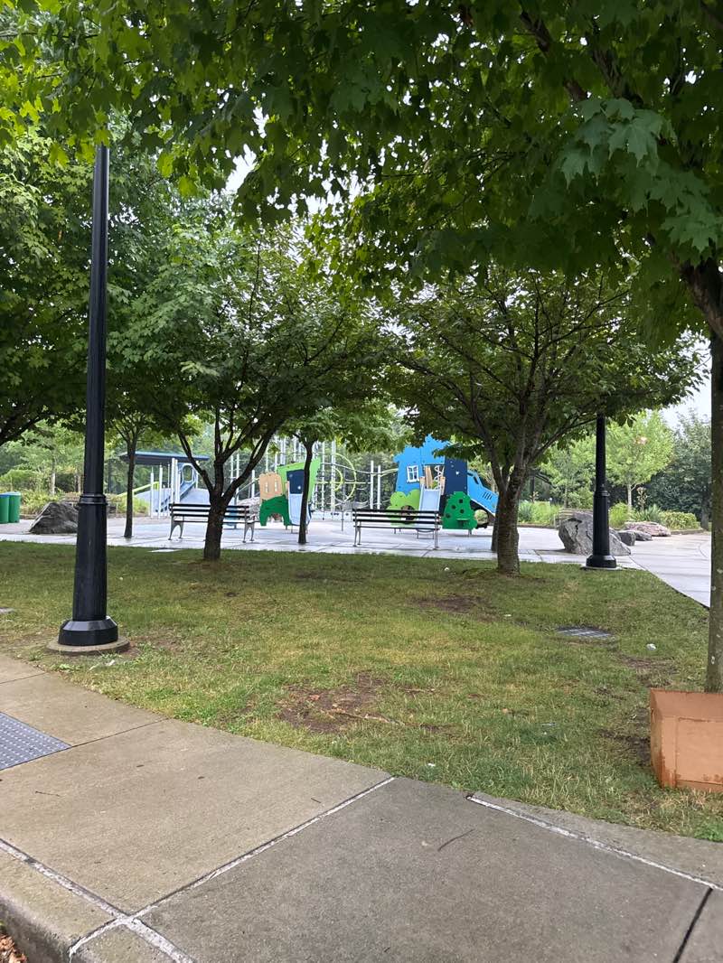 walking near me in Villano Park in summer