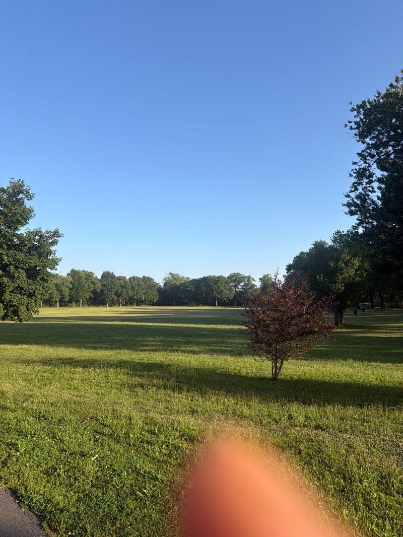 walking near me in Watsessing Park in summer