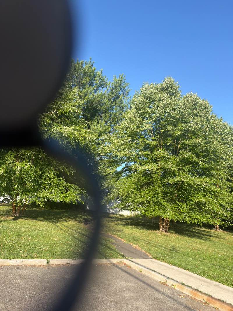 walking near me in Sichel Park in summer