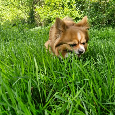 Jade Bruce post 3
