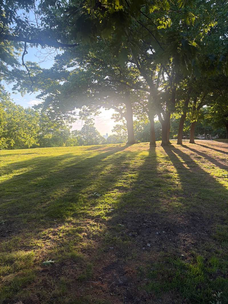 walking near me in Corey Hill Park in summer
