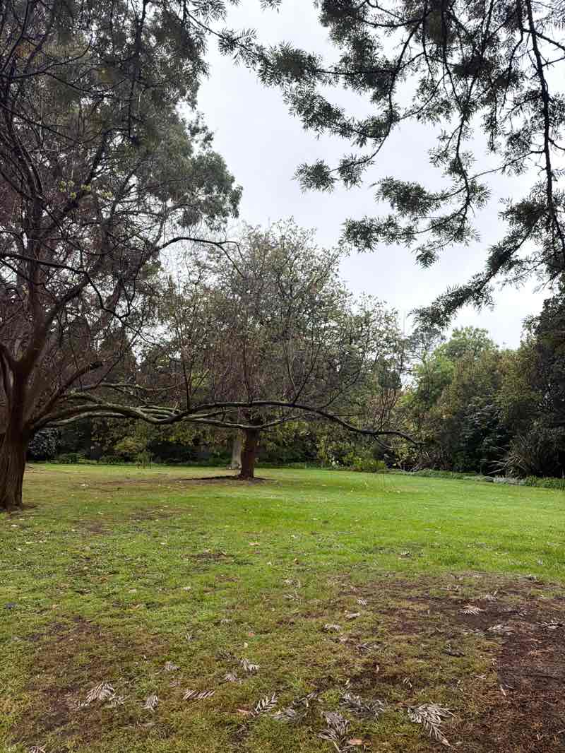 walking near me in Kings Domain in spring