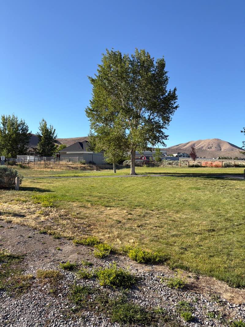 walking near me in Meadow Ranch Park in summer