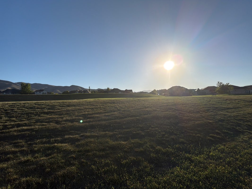 walking near me in Grasslands Park in summer