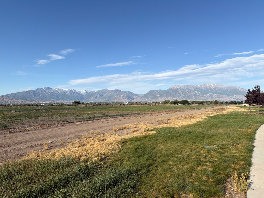 walking near me in Patriot Park in summer