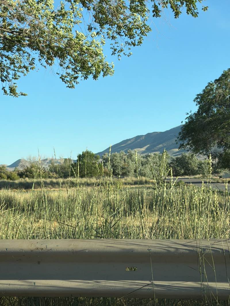 walking near me in Inlet Park in summer