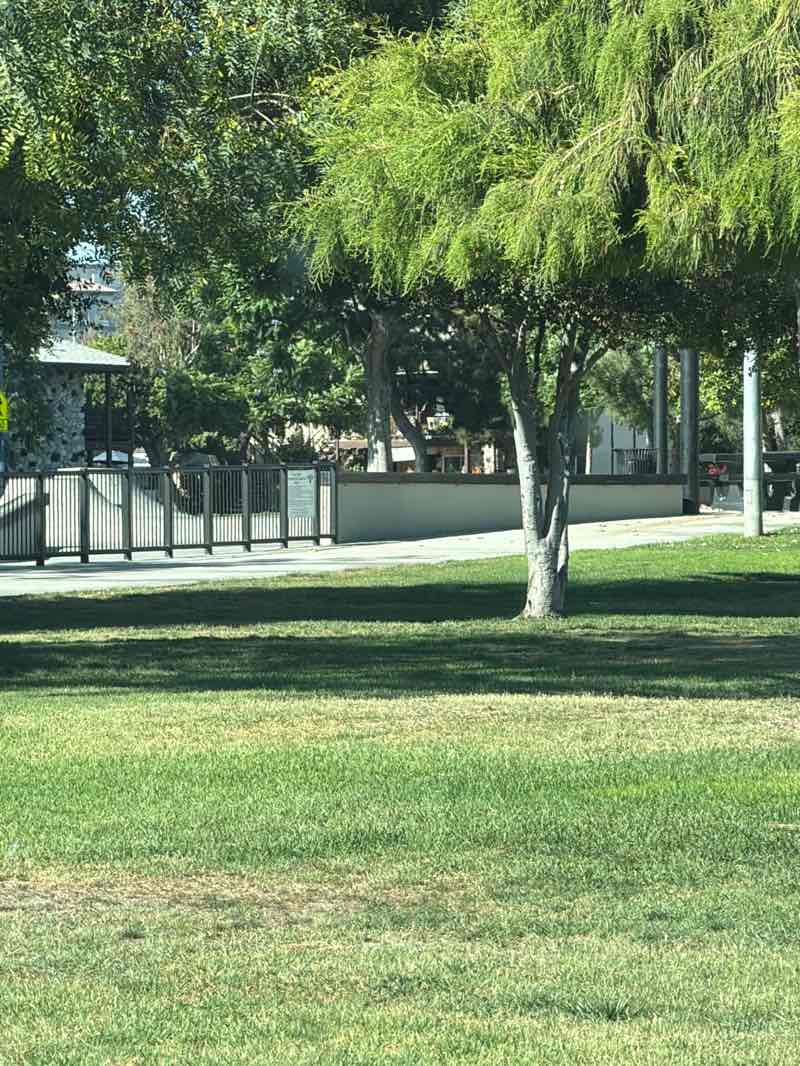 walking near me in Ponderosa Park in summer