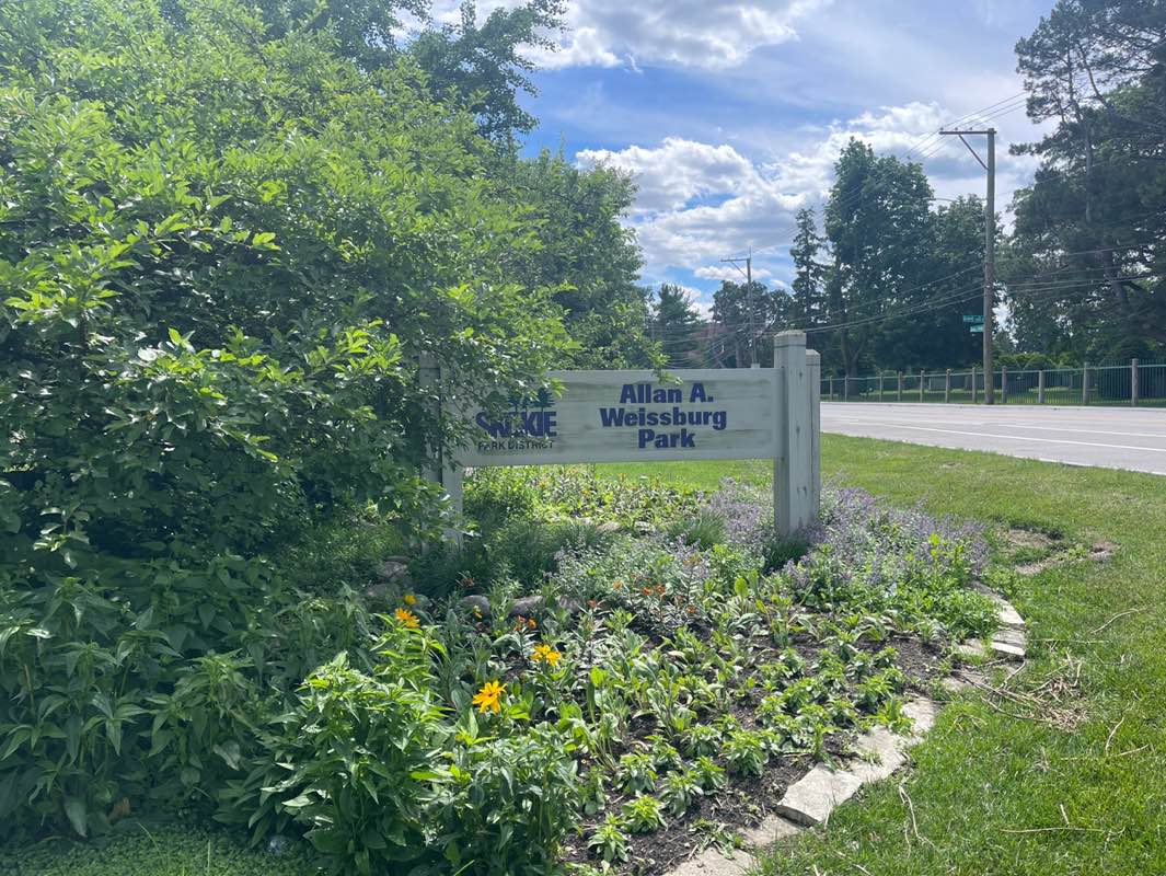 walking near me in Allen Weissburg Park in summer