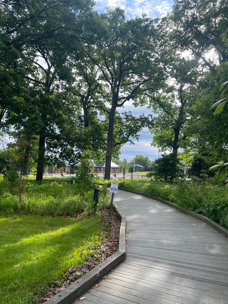 walking near me in Devonshire Park in summer
