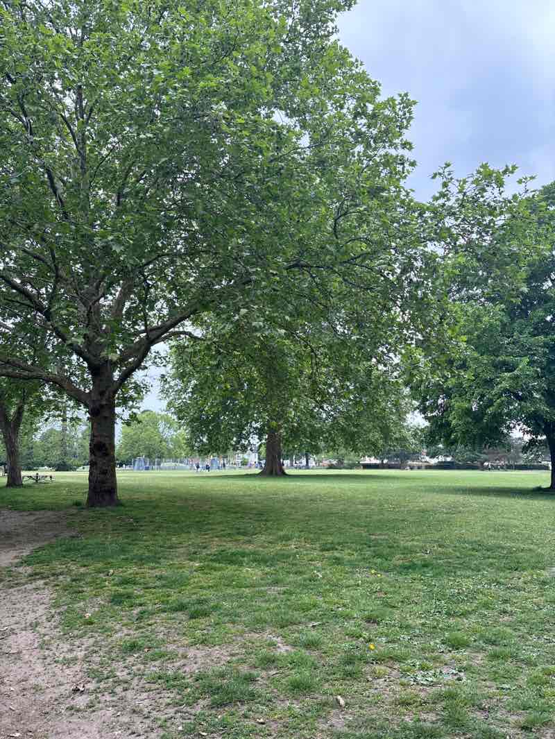 walking near me in Murray Park in spring