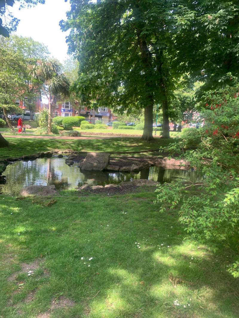 walking near me in Tower Gardens in summer