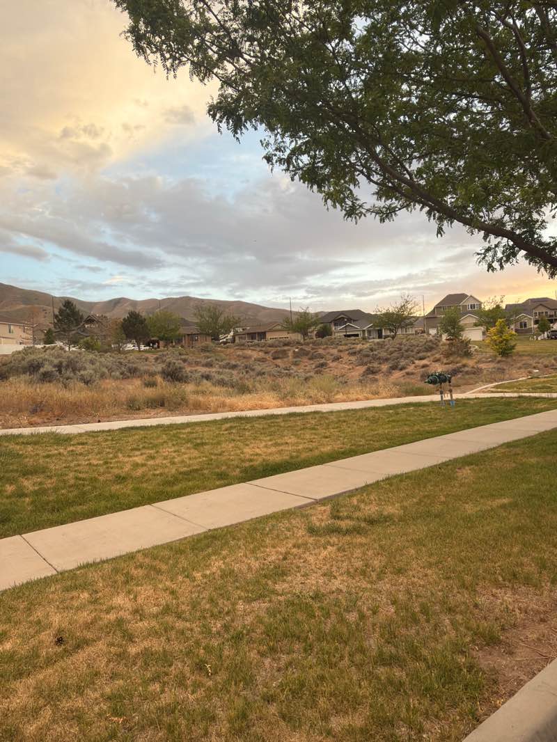 walking near me in Palomino Park in summer