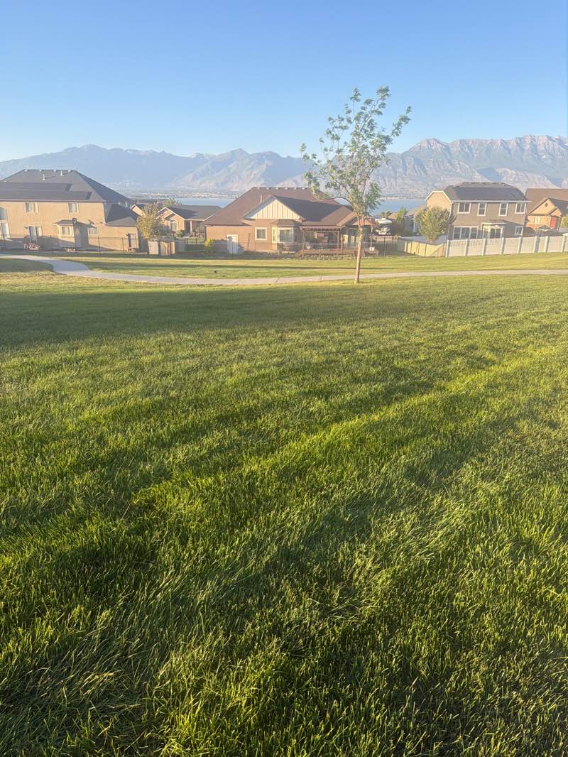 walking near me in Honeysuckle Park in summer