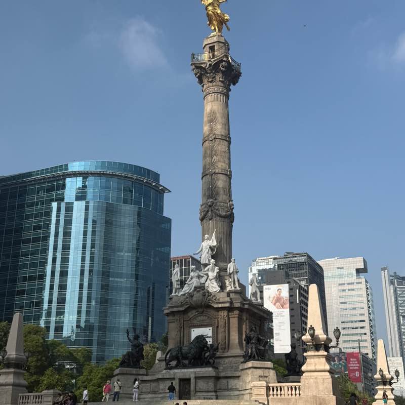 Alejandro Acoltzi post 2