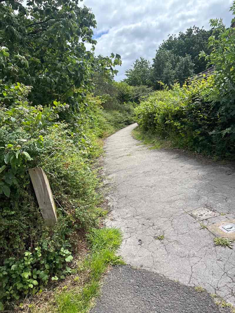 walking near me in Meadow Park in summer