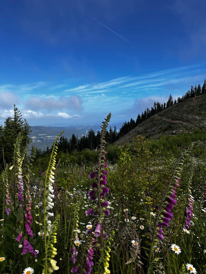 walking near me in Tradition Plateau Natural Resource Conservation Area in summer