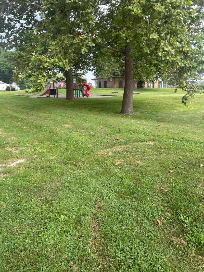 walking near me in Nelson Park in summer