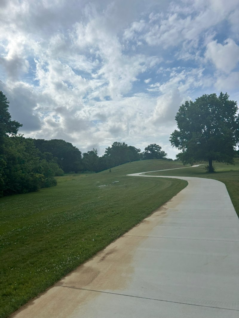 walking near me in Nelson Park in summer