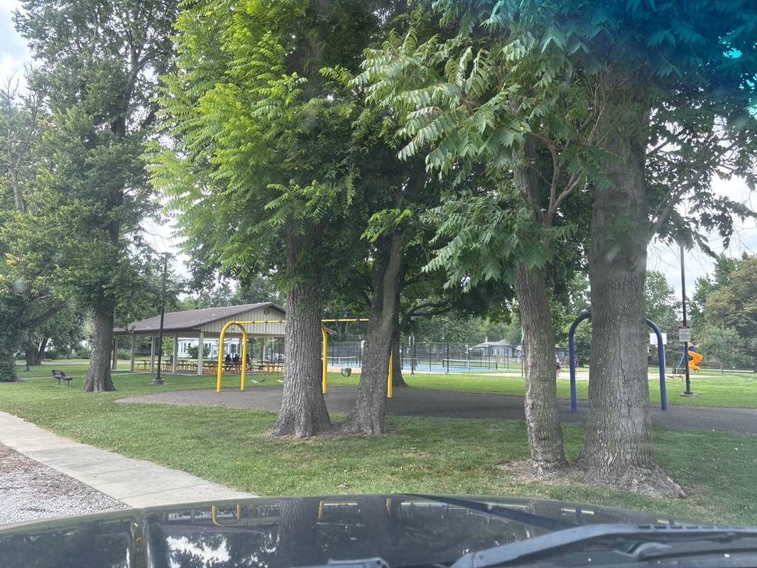 walking near me in Madison Park in summer