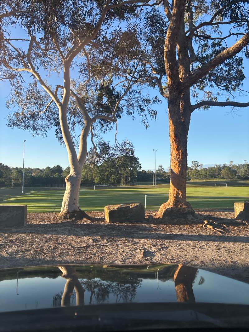 walking near me in Kariong Oval in autumn