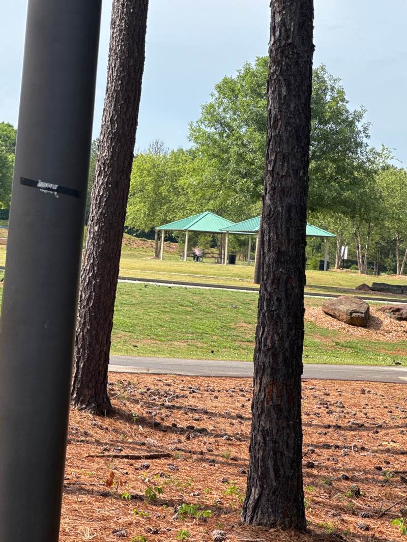 walking near me in Rabbit Hill Park in summer