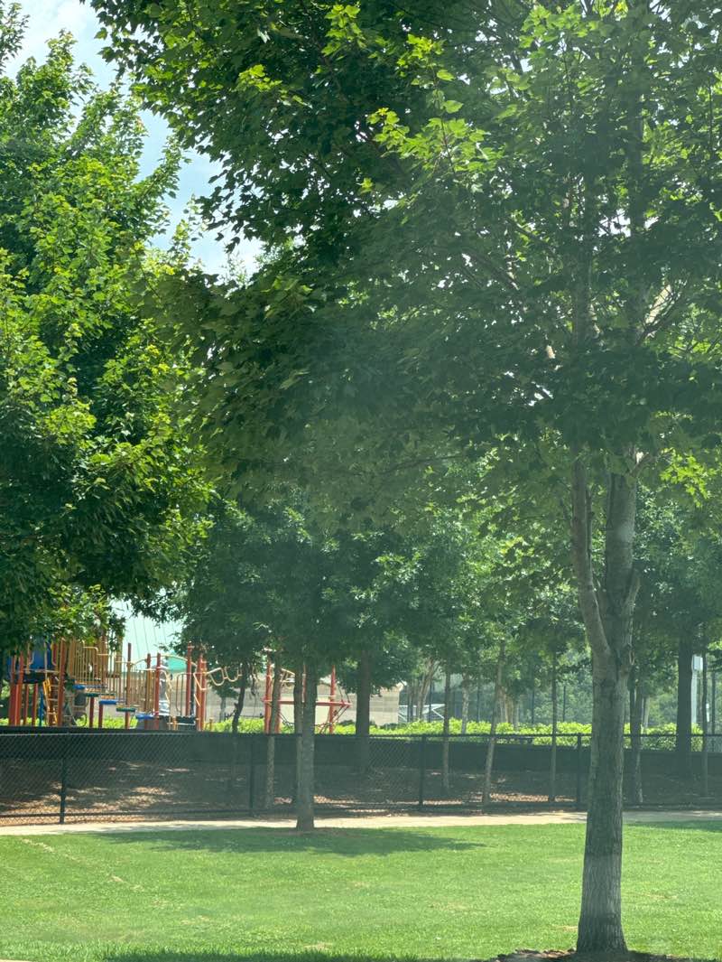 walking near me in Rock Springs Park in summer
