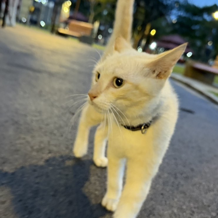 Adani Roslan post 3