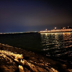 عبدالله عبدالمحسن المؤمن profile
