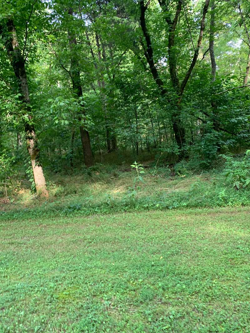 walking near me in Indian Creek Greenway in summer