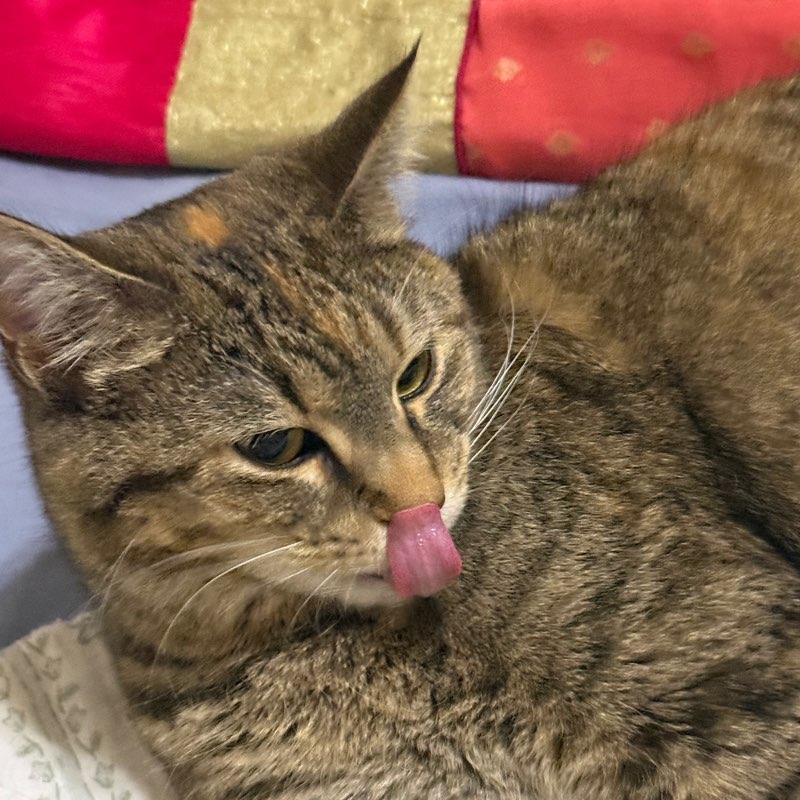 Adiba profile