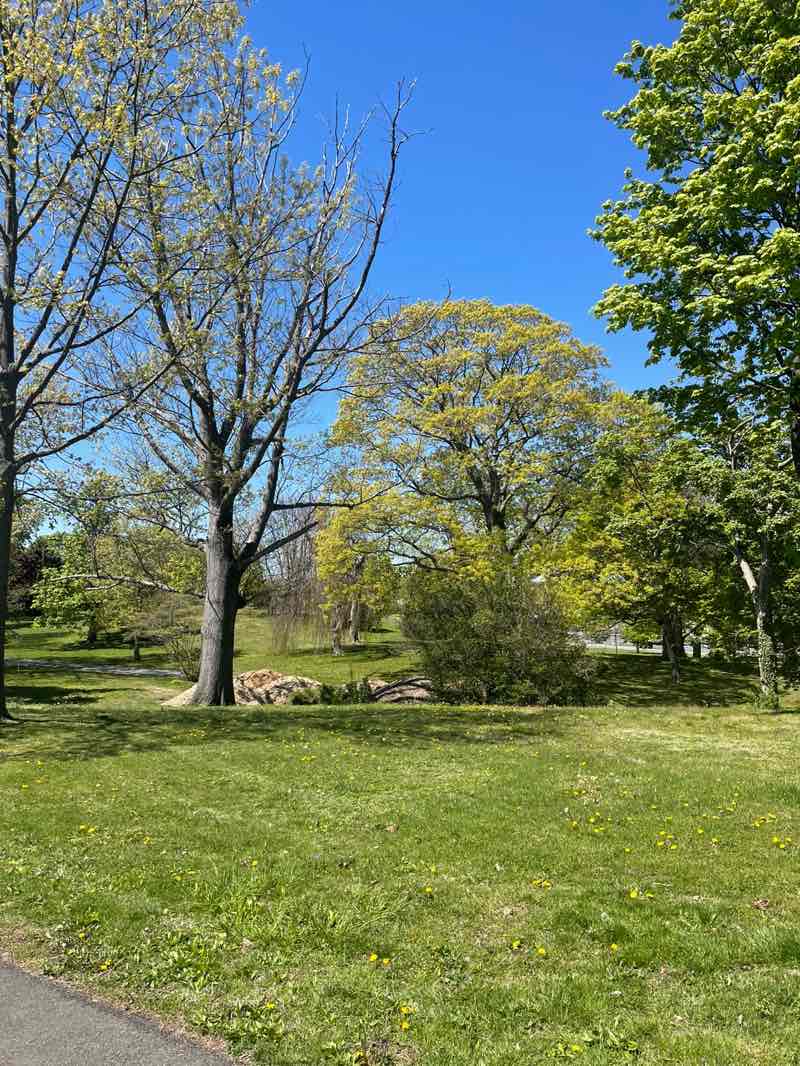 walking near me in Glen Island Park in spring