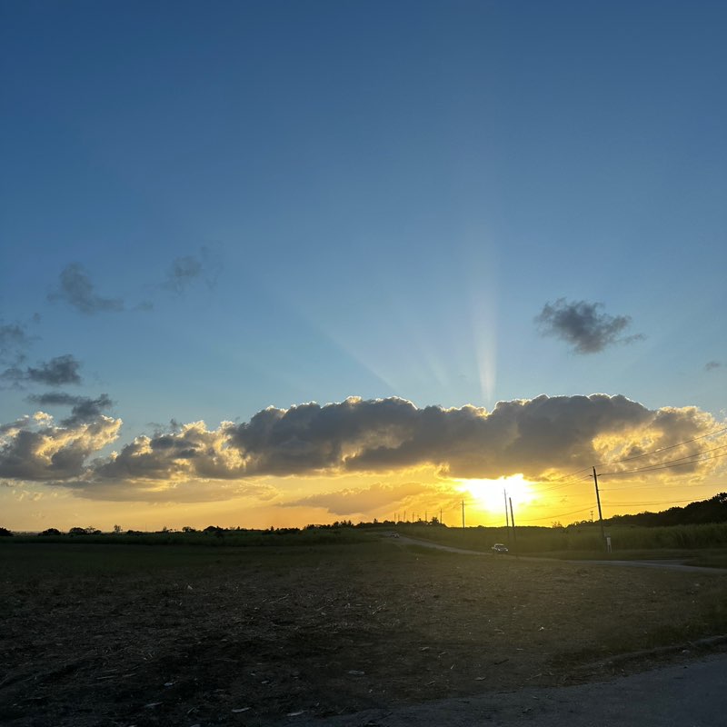Dawn profile