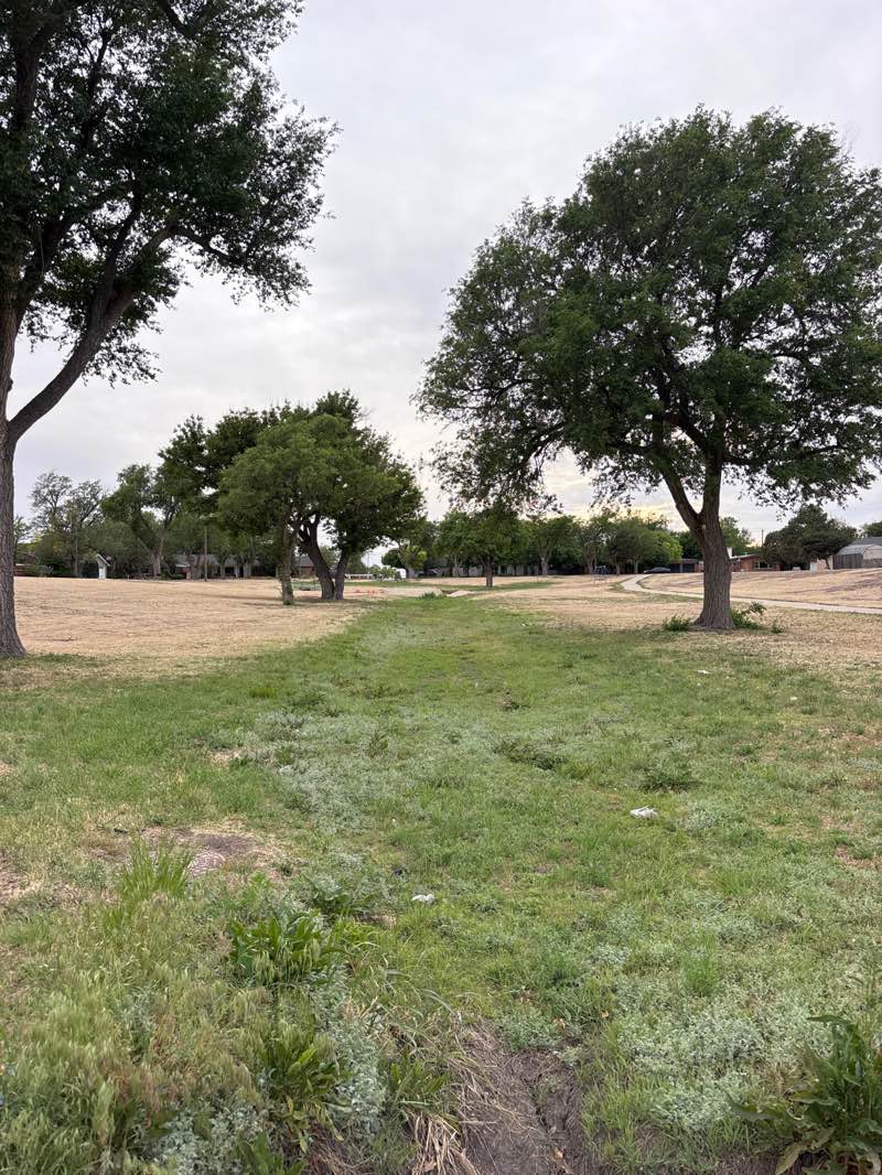 walking near me in Almeda Park in spring