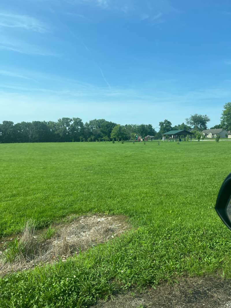 walking near me in North Park in summer