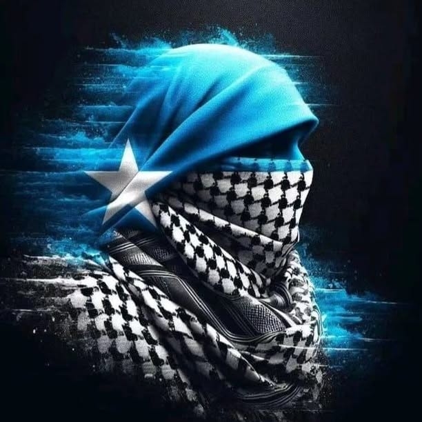 Abdifatah Abdirashid profile