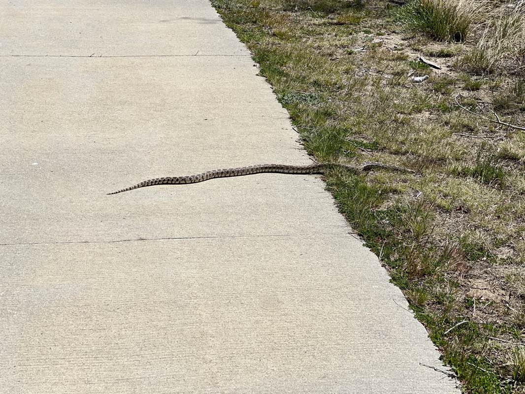 walking near me in Edness K. Wilkins State Park in spring