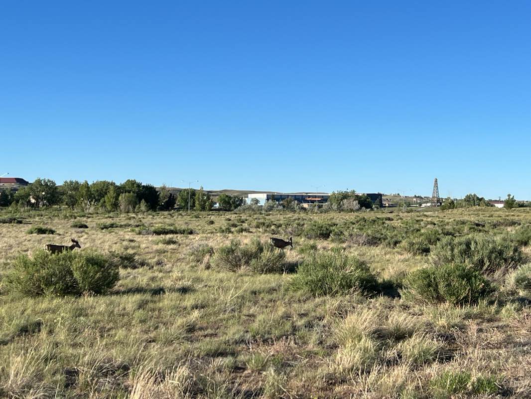 walking near me in North Casper Park in summer