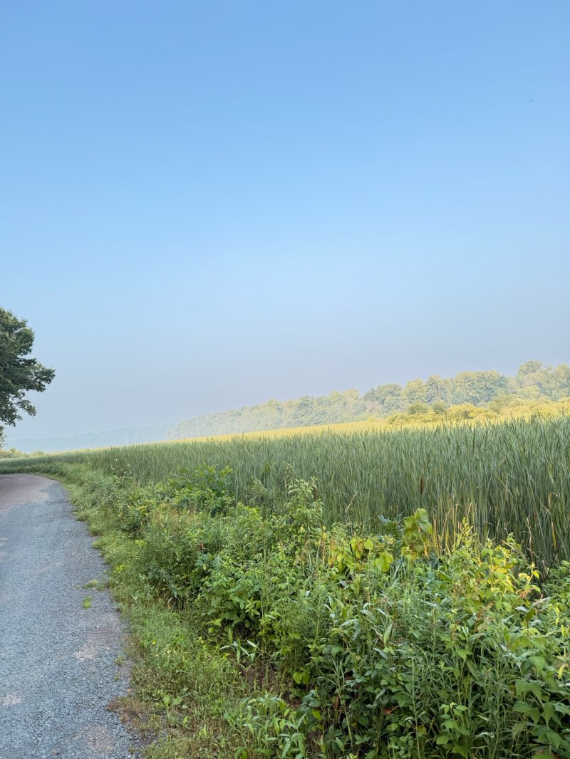 walking near me in William O'Brien State Park in summer